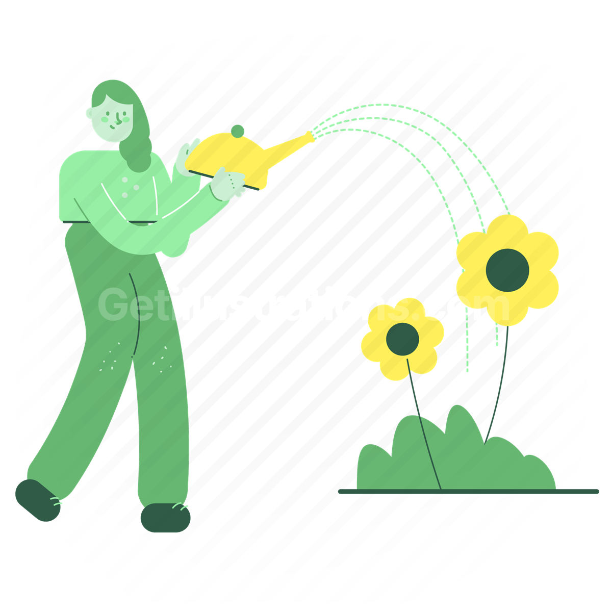 woman, female, gardening, garden, flower, watering